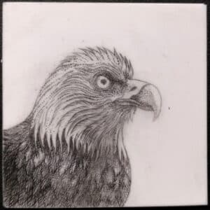 Eagle